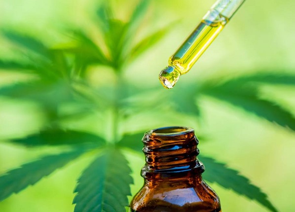 CANNABIS: El Gobierno oficializó el proyecto de investigación sobre cultivo de cannabis para fines médicos.