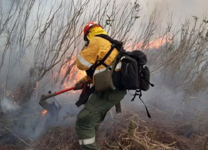 LEY DE HUMEDALES. ¡Basta de quemas ilegales en el Paraná!