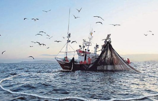 SENADO: Se aprobó el aumento de multas por la pesca ilegal y se creo el Fondo Nacional de la Defensa  